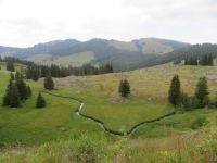 575 Schwägalp - Wanderung durch den Erlebnis Naturpark - 