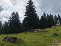 577 Schwägalp - Wanderung durch den Erlebnis Naturpark