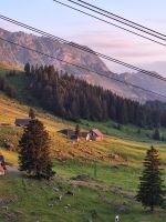 614 Schwägalp - Morgenstimmung am Säntis