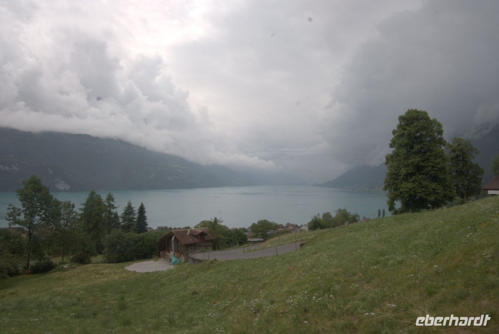 Blick auf den Brienzer See