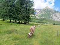 Naturidylle im Hasle-Tal