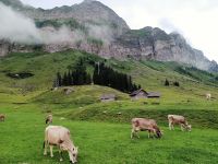 Naturidylle auf der Schwägalp