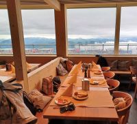 ... muss die Freiheit wohl grenzenlos sein...(Der Frühstückstisch ist gedeckt!)