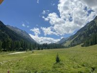 in St. Moritz und Umgebung herrscht ein tolles Sommerwetter - wir fahren mit der Kutsche ins Tal Roseg