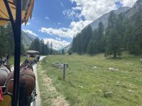 im Val Roseg herrscht reger Kutschenverkehr
