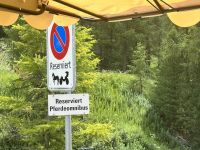in Pontresina gibt es eigene Parkplätze für die Pferdekutschen 