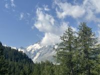 Aus den Panoramafenstern des Bernina Express haben wir fantastische Aussichten 