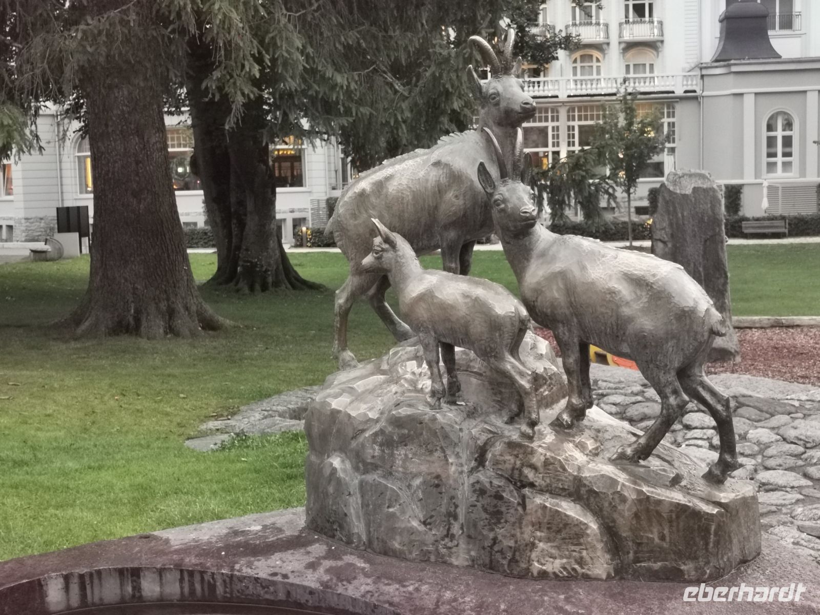 Hier halten die Steinböcke still, dass man sie in Ruhe fotografieren kann.