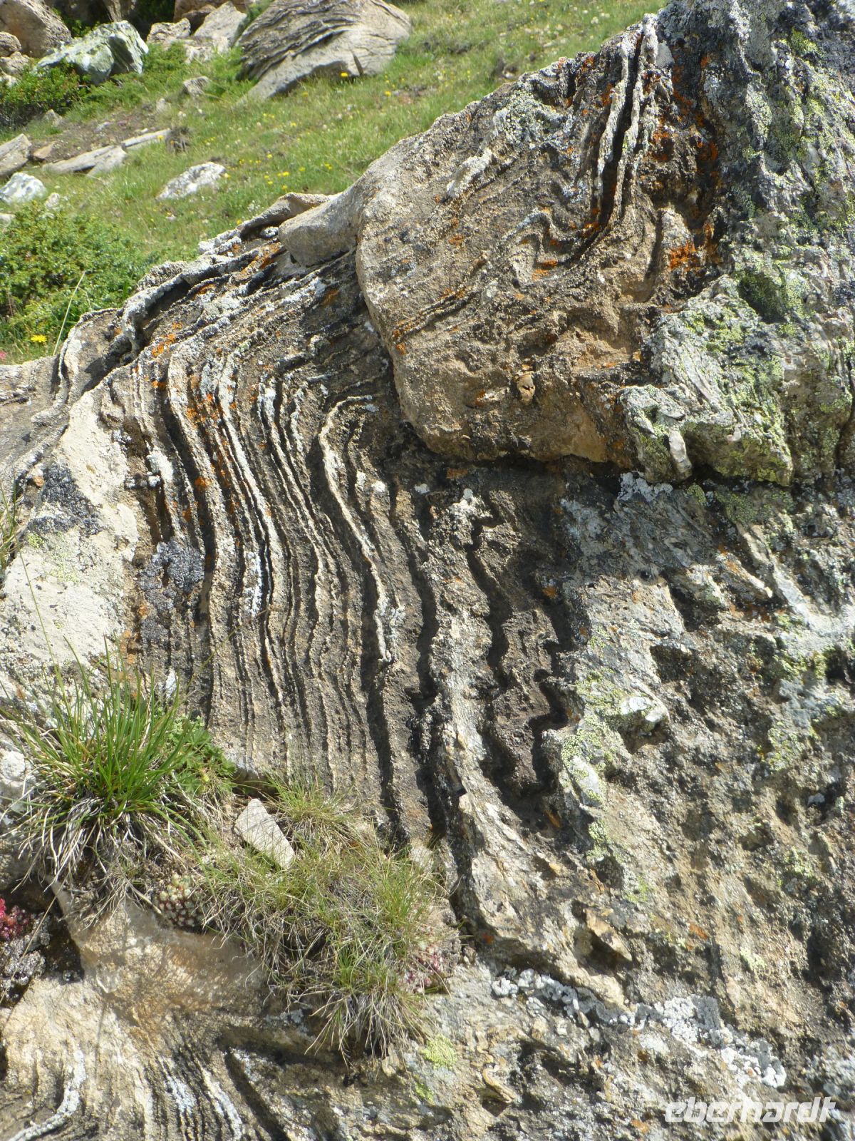 Auch die Gesteine machen auf sich aufmerksam, mit großer Kraft gefaltet.
