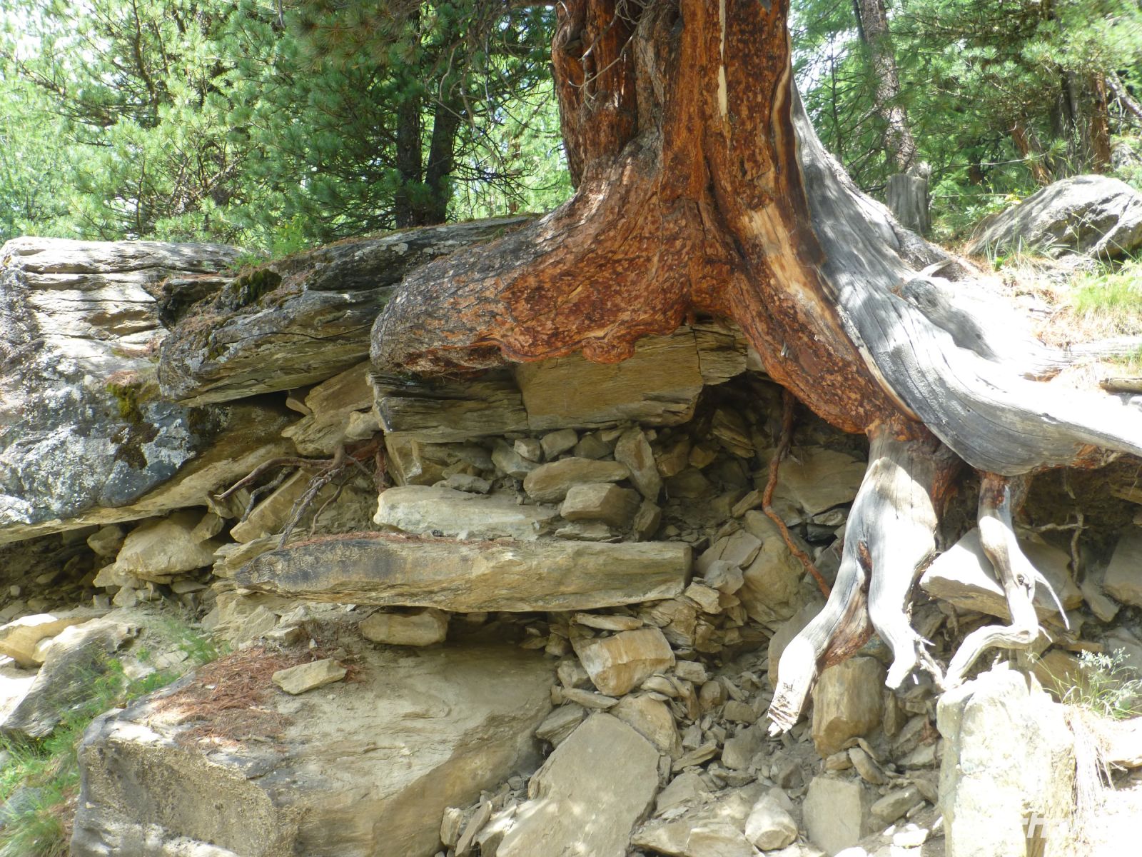 Noch hält das Gleichgewicht.