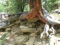 Noch hält das Gleichgewicht.