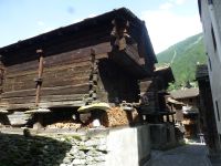 Gut sichtbar: die runden Steine, an denen kein Nager vorbeiklettern kann.