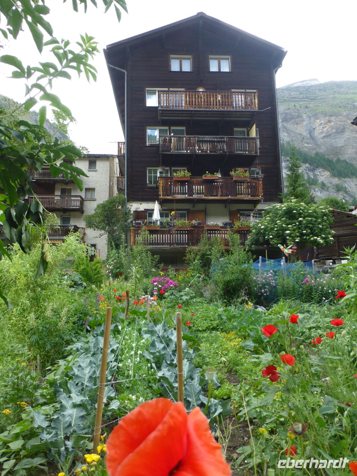 Einige Häuser haben große Gemüsegärten vor dem Haus.