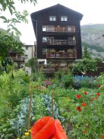 Einige Häuser haben große Gemüsegärten vor dem Haus.