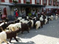... lassen auf der schicken Straße auch mal was liegen.