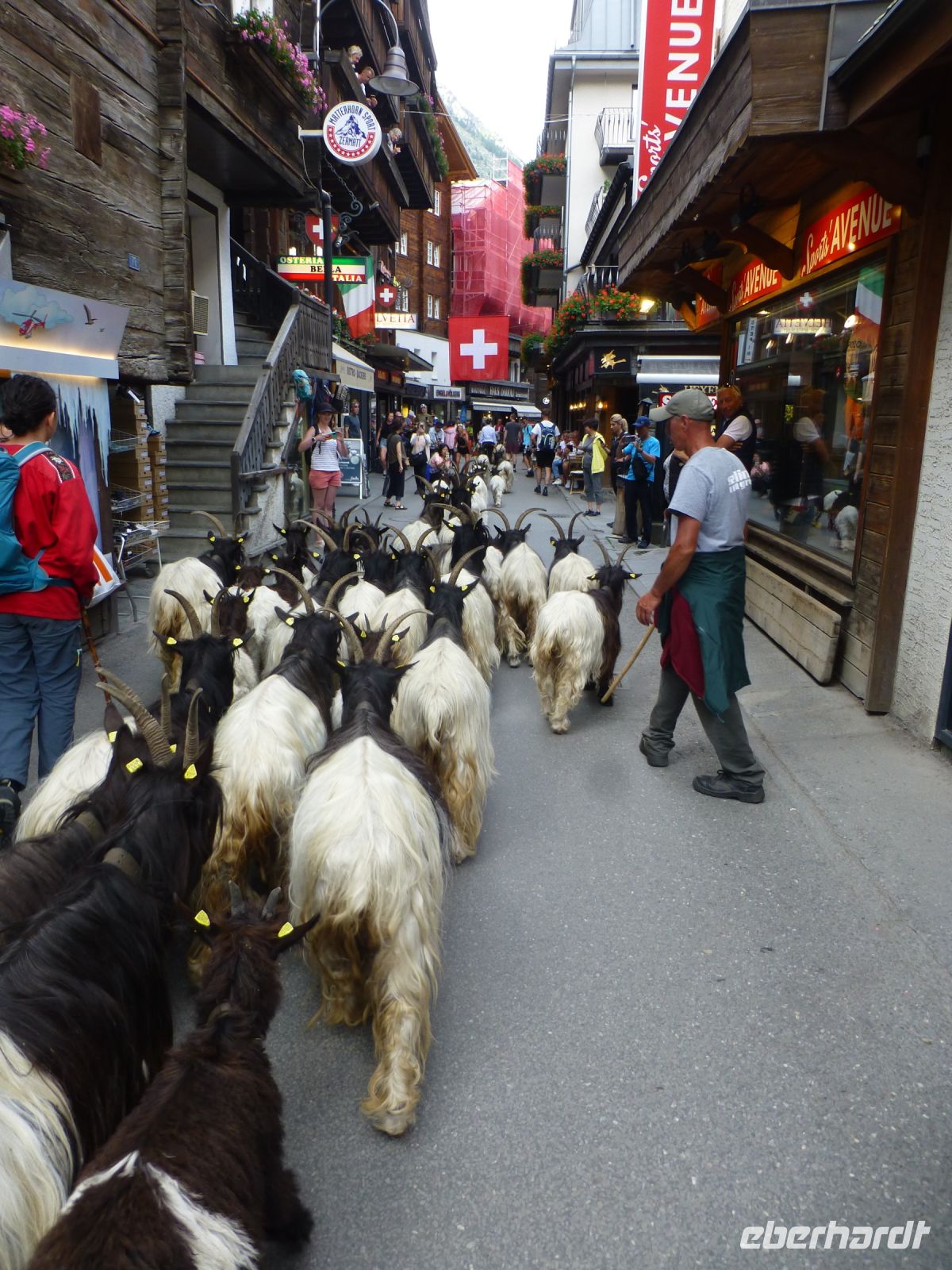 Jeden Tag aus Neue ein Schauspiel.