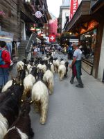 Jeden Tag aus Neue ein Schauspiel.