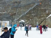 Viel Trubel im Freien