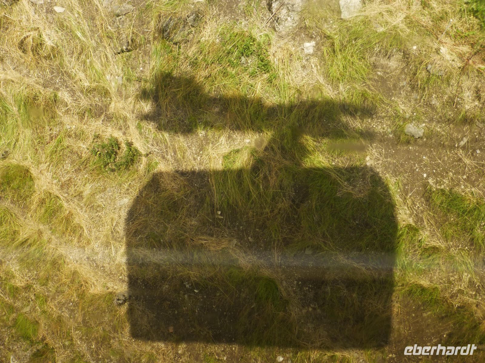 Der Beweis, dass die Sonne auch an diesen Tag scheint.