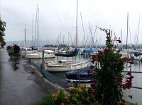 Am Bodensee entlang, Arborn