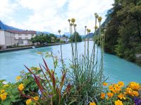 Interlaken, Blick auf die Aache