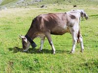 Schwägalp, Wanderung mit Elsbeth