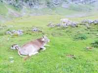 Schwägalp, Wanderung mit Elsbeth