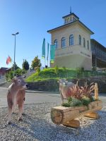 Bahnstation Rigi.jpg