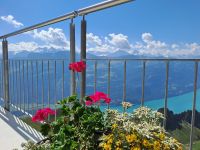 Blick Berner Oberland.jpg