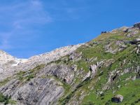 Blick Rhonegletscher Belvedere.jpg