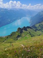 Brienzersee.jpg