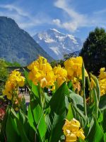 Interlaken- Jungfrau.jpg