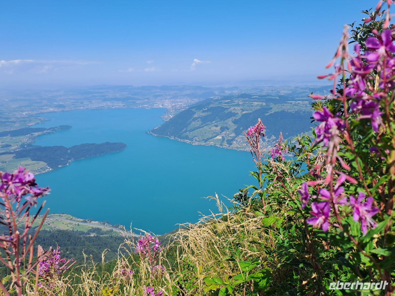 Panorama Zugersee.jpg