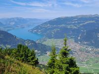 Thuner See - Interlaken.jpg