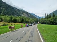 Fahrt vom Grimselpass nach Meiringen...