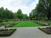 Bern, Stadtführung -Besuch des Rosengartens
