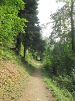 eins mit der Natur, am Harder Kulm