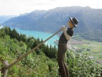 Holzschnitzkunst am Harder Kulm