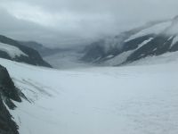 endlich freier Blick: Aletschgletscher