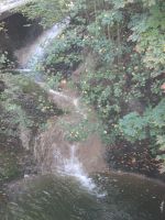 ...und traf an einem Wasserfall auf einen Bären