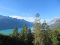 012 Fahrt mit der Brienzer Rothorn Bahn - Blick über den Brienzersee