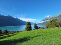 017 Fahrt mit der Brienzer Rothorn Bahn - Blick über den Brienzersee