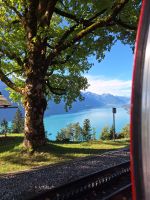 019 Fahrt mit der Brienzer Rothorn Bahn - Blick über den Brienzersee