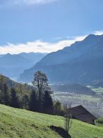 020 Fahrt mit der Brienzer Rothorn Bahn - Blick über den Brienzersee