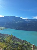 022 Fahrt mit der Brienzer Rothorn Bahn - Blick über den Brienzersee