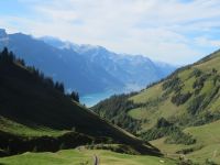 041 Fahrt mit der Brienzer Rothorn Bahn