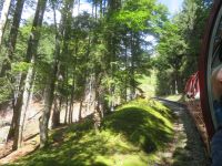 081 Talfahrt mit der  Brienzer Rothornbahn