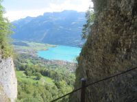 082 Talfahrt mit der  Brienzer Rothornbahn