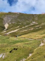 092 Talfahrt mit der  Brienzer Rothornbahn
