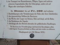 166 Ausflug zur Schynigen Platte  - Regeln aus dem 19.Jahrhundert